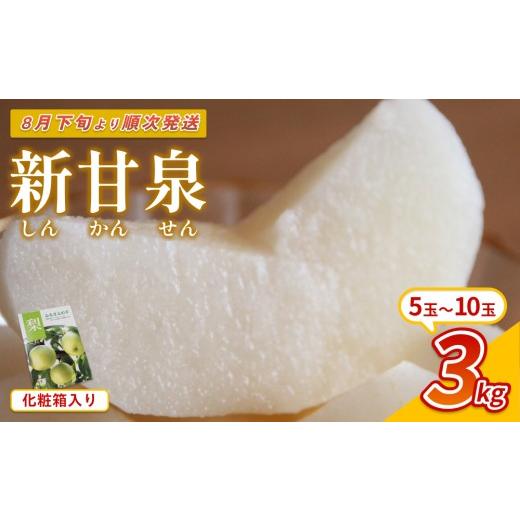 ふるさと納税 梨 鳥取県 岩美町 先行予約 中野農園 梨 "新甘泉" 3kg 化粧箱入り|鳥取 岩美 梨 なし ナシ 赤梨 果物 フルーツ お届けは2026年8月下旬頃〜 4…