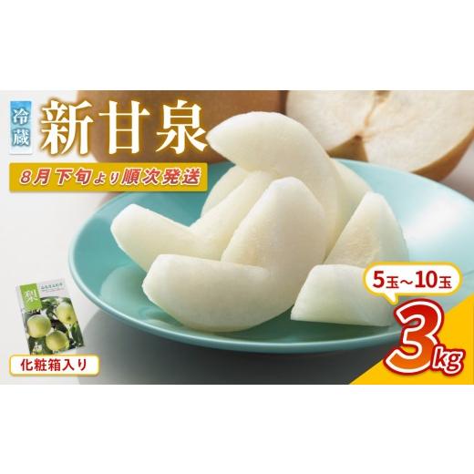 ふるさと納税 梨 鳥取県 岩美町 先行予約 中野農園 梨 "新甘泉" 3kg 化粧箱入り 冷蔵便発送|鳥取 岩美 梨 なし ナシ 赤梨 果物 フルーツ お届けは2026年8…