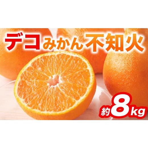 ふるさと納税 果物類 みかん 熊本県 八代市 先行予約 不知火 デコみかん (デコポン同品種) 約8kg (18〜37玉) フルーツ くだもの 果物 みかん 蜜柑 ミカン 柑…
