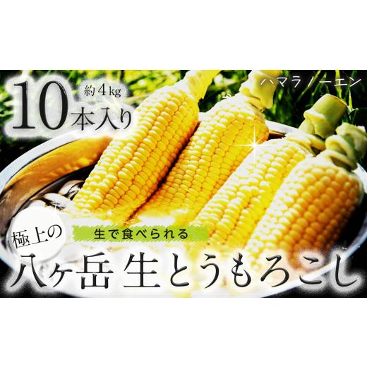 ふるさと納税 とうもろこし 長野県 原村 生で食べられる極上の 八ヶ岳 生 とうもろこし 5本入り 約1.7kg 2026年7月中旬〜発送 | とうもろこし 生 生とうもろこ…