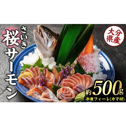 ふるさと納税 鮭・サーモン 大分県 佐伯市 さいき 桜 サーモン フィーレ (1尾分・約500g) 期間限定 冷凍 サクラマス 刺身 ムニエル お味噌汁 お鍋 国産 GP013 …