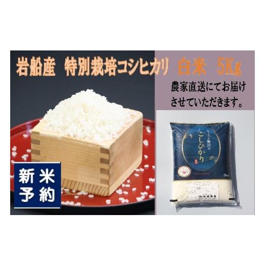 ふるさと納税 米 コシヒカリ 新潟県 村上市 新米受付・令和8年産米 新潟県村上市岩船産 特別栽培米 ちょっと贅沢なコシヒカリ 5kg 1039047N