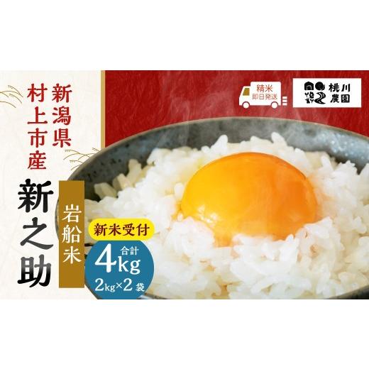ふるさと納税 米 新潟県 村上市 新米受付・令和8年産米 新潟県村上市産 特別栽培米 新之助 4kg(2kg×2袋)1040009N