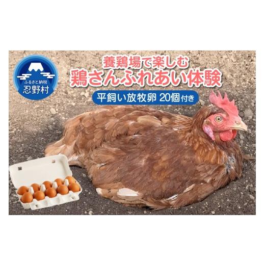 ふるさと納税 体験チケット 山梨県 忍野村 養鶏場で楽しむ鶏さんふれあい体験(平飼い放牧卵20個付き)