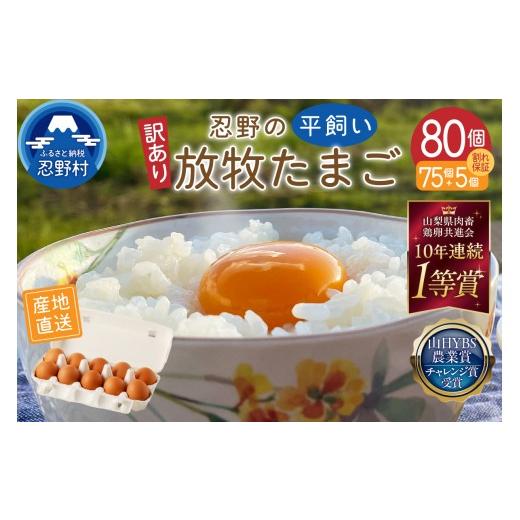ふるさと納税 卵(鶏、烏骨鶏等) 山梨県 忍野村 訳あり 忍野の平飼い放牧卵80個(75個+割れ保証5個)