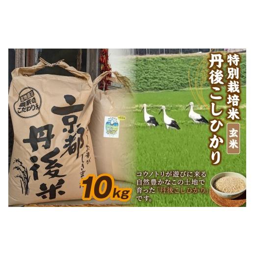 ふるさと納税 米 コシヒカリ 京都府 京丹後市 1月発送: 先行予約 令和8年産 丹後こしひかり 玄米10kg 特別栽培米 新米 玄米 こしひかり 10キロ 特別栽培 玄米…