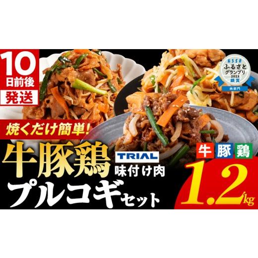 ふるさと納税 牛肉 セット 福岡県 田川市 プルコギ 味付け肉 牛肉 豚肉 鶏肉 食べ比べ 詰め合わせ 冷凍 味付き 小分け 真空パック 大容量 焼肉 お試しセット 1…