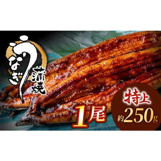 ふるさと納税 うなぎ 福岡県 新宮町 ZI369.うなぎ蒲焼き1尾セット(約250g×1尾)