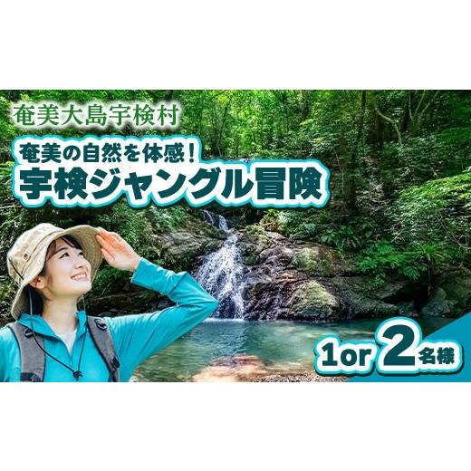 ふるさと納税 体験チケット 鹿児島県 宇検村 宇検ジャングル冒険 1・2名様 奄美大島 宇検村 鹿児島県 旅行 自然 冒険 完全プライベート 1or2名様