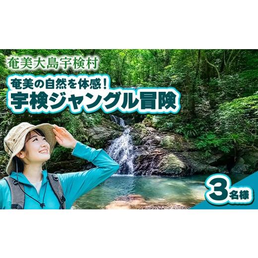 ふるさと納税 イベントやチケット等 鹿児島県 宇検村 宇検ジャングル冒険 3名様 奄美大島 宇検村 鹿児島県 旅行 自然 冒険 完全プライベート 3名様