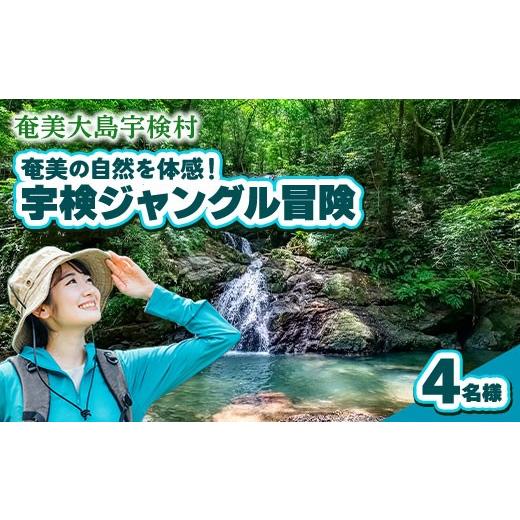ふるさと納税 体験チケット 鹿児島県 宇検村 宇検ジャングル冒険 4名様 奄美大島 宇検村 鹿児島県 旅行 自然 冒険 完全プライベート 4名様