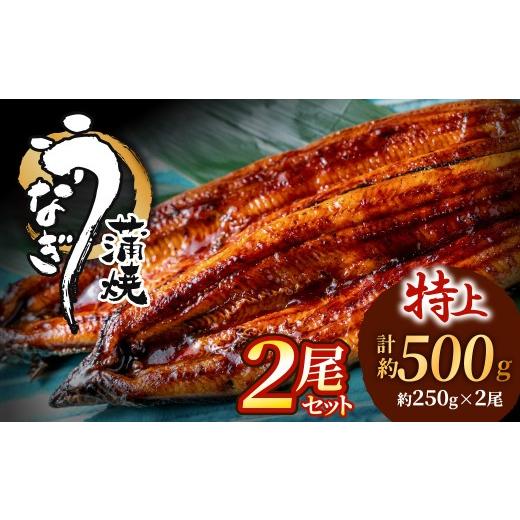 ふるさと納税 うなぎ 福岡県 新宮町 AB573.うなぎ蒲焼き2尾セット(約250g×2尾)