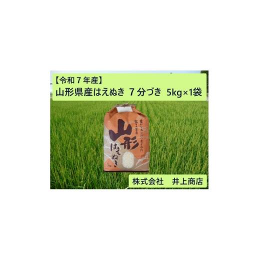 ふるさと納税 米 山形県 川西町 令和7年産山形県産はえぬき 7分づき5kg×1袋 1728609