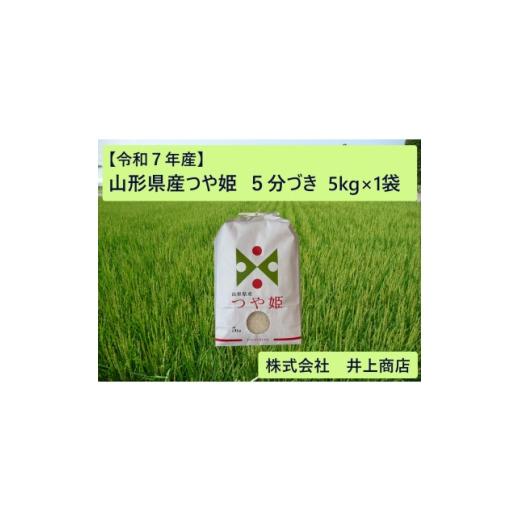 ふるさと納税 米 山形県 川西町 令和7年産山形県産つや姫 5分づき5kg×1袋 1728610