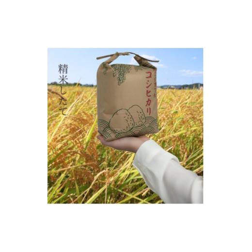 ふるさと納税 米 千葉県 館山市 館山市九重産コシヒカリ 5kg 精米 1728953