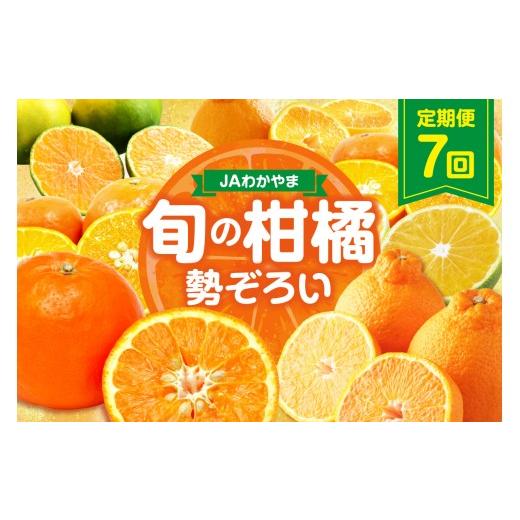 ふるさと納税 果物類 みかん 和歌山県 御坊市 JAわかやま紀州 柑橘勢ぞろい セット 7回 定期便