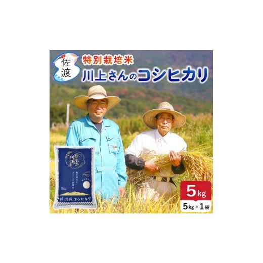 ふるさと納税 米 コシヒカリ 新潟県 佐渡市 佐渡島産 川上さんのコシヒカリ 白米5kg 令和7年産 特別栽培米 食の宝島佐渡