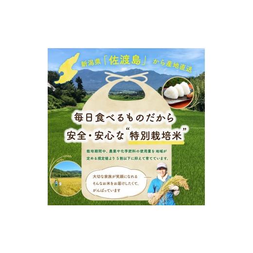 ふるさと納税 米 コシヒカリ 新潟県 佐渡市 佐渡島産 川上さんのコシヒカリ 白米20kg 令和7年産 特別栽培米 食の宝島佐渡の画像