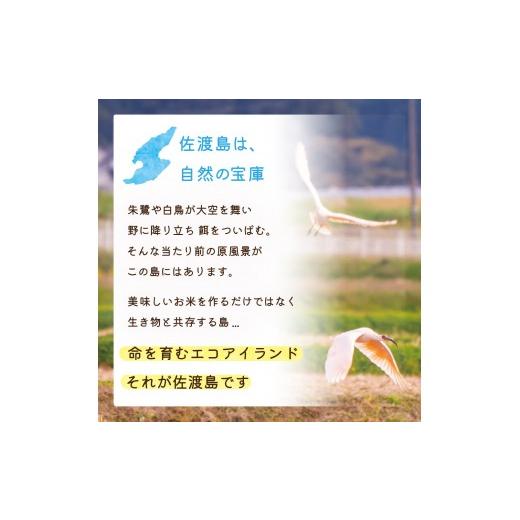 ふるさと納税 米 コシヒカリ 新潟県 佐渡市 佐渡島産 川上さんのコシヒカリ 白米20kg 令和7年産 特別栽培米 食の宝島佐渡の画像