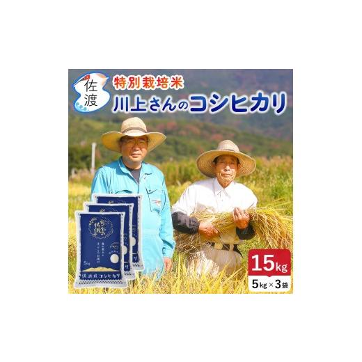 ふるさと納税 無洗米 新潟県 佐渡市 佐渡島産 川上さんのコシヒカリ 無洗米15kg 令和7年産 特別栽培米 食の宝島佐渡の画像