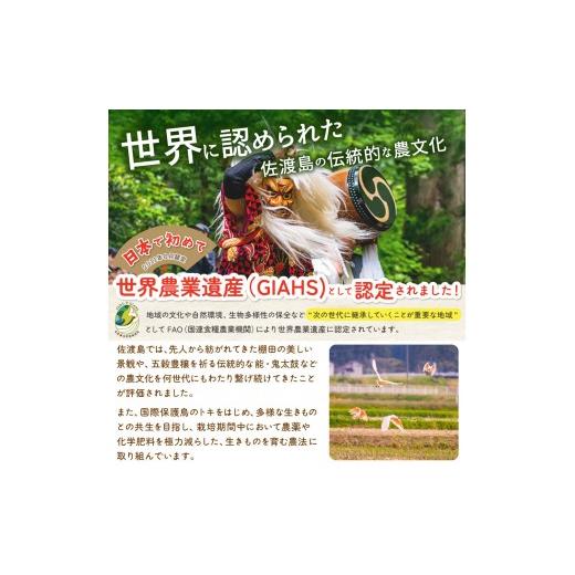 ふるさと納税 無洗米 新潟県 佐渡市 佐渡島産 川上さんのコシヒカリ 無洗米15kg 令和7年産 特別栽培米 食の宝島佐渡の画像