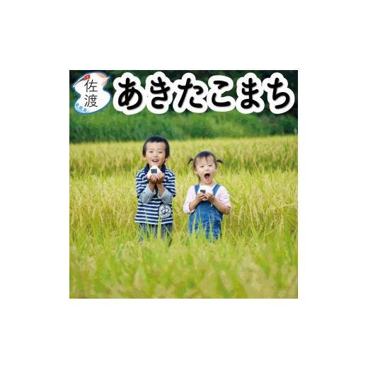 ふるさと納税 米 あきたこまち 新潟県 佐渡市 佐渡島産あきたこまち 白米5kg (5kg×1袋) 令和7年産 食の宝島佐渡