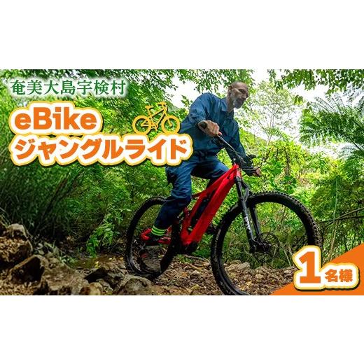 ふるさと納税 体験チケット 鹿児島県 宇検村 eBikeジャングルライド 1名様 奄美大島 宇検村 鹿児島県 旅行 自然 冒険 完全プライベート 1名様