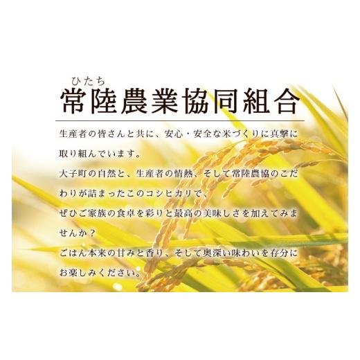 ふるさと納税 米 コシヒカリ 茨城県 大子町  2ヶ月定期便 令和7年産 常陸農協の大子町産コシヒカリ10kg｜茨城県 大子町 お米 白米 精米 こしひかり ふっくら …の画像