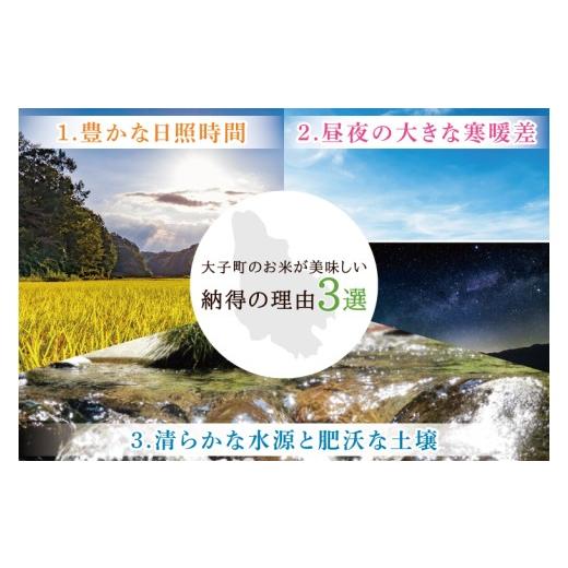 ふるさと納税 米 コシヒカリ 茨城県 大子町  2ヶ月定期便 令和7年産 常陸農協の大子町産コシヒカリ10kg｜茨城県 大子町 お米 白米 精米 こしひかり ふっくら …の画像