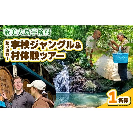 ふるさと納税 体験チケット 鹿児島県 宇検村 宇検村ジャングル&村体験ツアー 1名様 奄美大島 宇検村 鹿児島県 旅行 自然 冒険 完全プライベート 1名様