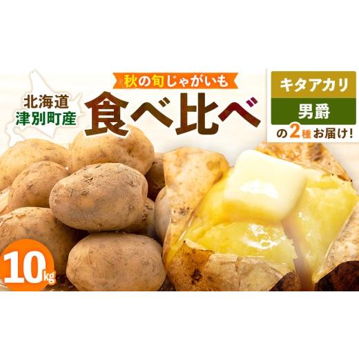 ふるさと納税 野菜類 じゃがいも 北海道 津別町 先行予約 秋の旬 じゃがいも2種食べ比べ 10kg ピンクの八百屋〜ナツやさい〜 | 北海道津別町