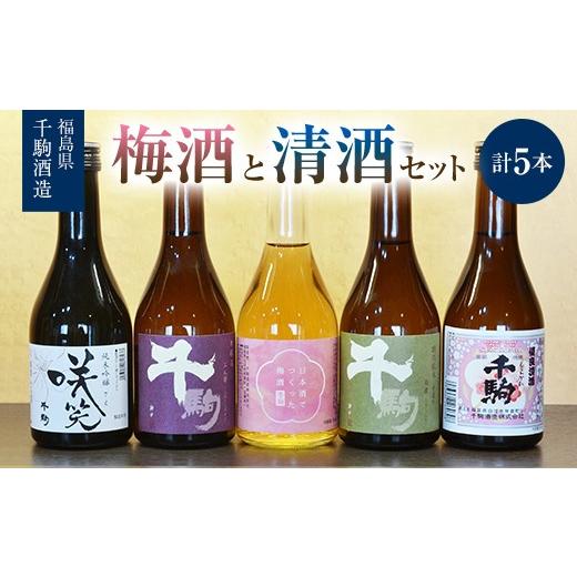 ふるさと納税 日本酒 純米吟醸酒 福島県 白河市 梅酒と清酒セット 300ml×5本 純米吟醸 特別純米 本醸造 福島県 白河市 F25R-132