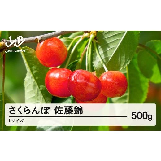 ふるさと納税 果物類 さくらんぼ 山形県 山辺町 [先行予約]2026年 山形県産 佐藤錦 さくらんぼ Lサイズ 500g 1箱 沖縄・離島への配送不可 ts-snxlx500