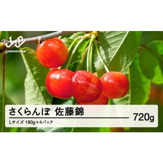 ふるさと納税 果物類 さくらんぼ 山形県 山辺町 [先行予約]2026年 山形県産 佐藤錦 さくらんぼ Lサイズ 180g 4パック入 沖縄・離島への配送不可 ts-snxlp72…