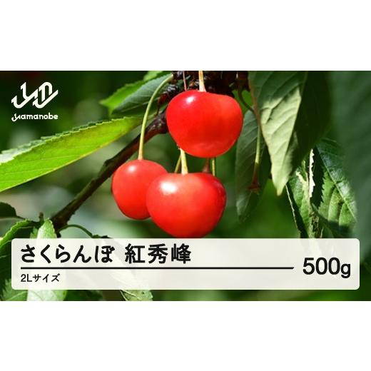 ふるさと納税 果物類 さくらんぼ 山形県 山辺町 [先行予約]2026年 山形県産 紅秀峰 さくらんぼ 2Lサイズ 500g 1箱 沖縄・離島への配送不可 ts-bs2lx500