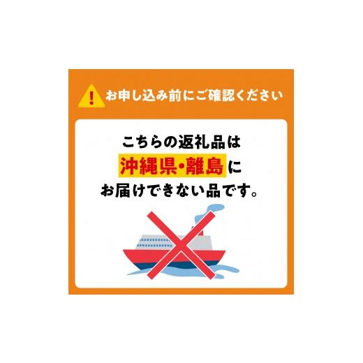 ふるさと納税 美容 大阪府 吹田市 乳酸菌生産物質ビオネBの画像