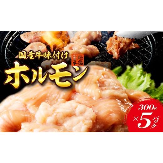 ふるさと納税 牛肉 ホルモン 大阪府 吹田市 国産牛ホルモン(シマ腸)味付け焼肉 冷凍品 大阪府吹田市