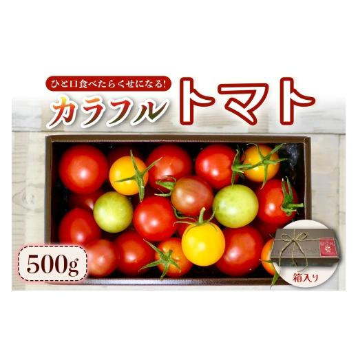 ふるさと納税 野菜類 トマト 神奈川県 伊勢原市 カラフルトマト 箱入り 5品種詰め合わせ 500g ひと口食べたらくせになる |ミックス 甘い プレゼント 贈り物 …