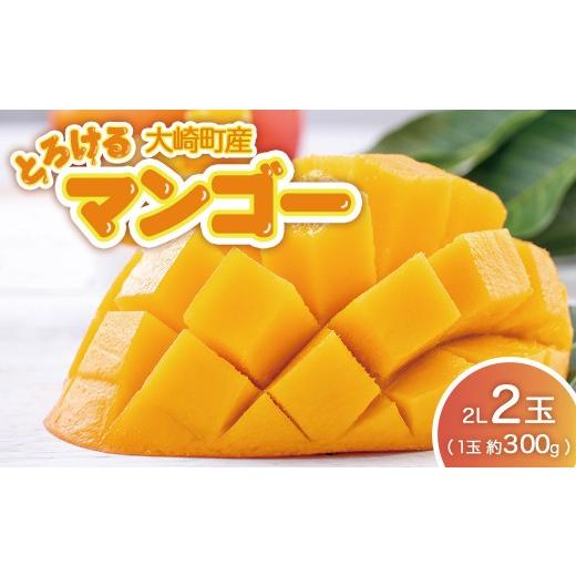 ふるさと納税 マンゴー 鹿児島県 大崎町 JA大崎選果場厳選 「大崎産マンゴー2026」 おおよそ300g×2玉