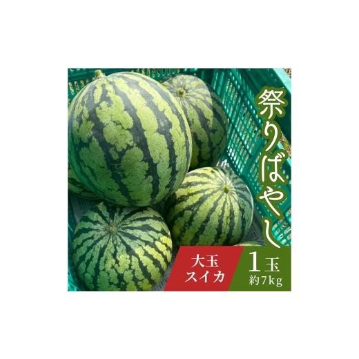ふるさと納税 スイカ 愛知県 江南市 すいか 祭りばやし 1玉(約7kg) / スイカ 祭りばやし 大玉 夏スイカ 夏 フルーツ 旬 果物 甘い シャリ感 高糖度 ギフ…