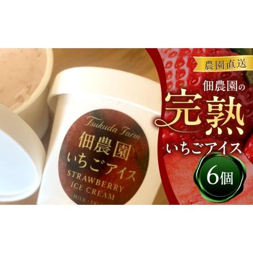 ふるさと納税 菓子 アイス 奈良県 大和郡山市 農園直送 佃農園の完熟いちごアイス 6個 アイス アイスクリーム いちご イチゴ 苺 完熟 スイーツ おやつ デザ…