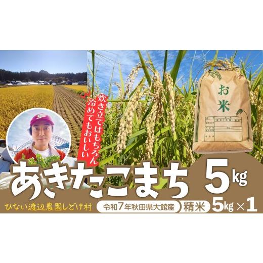 ふるさと納税 米 あきたこまち 秋田県 大館市 令和7年産 秋田県産「あきたこまち」精米5kg(5kg×1袋)95P9004 / 米 普通米 5kg 精米 令和7年産 秋田県産 …