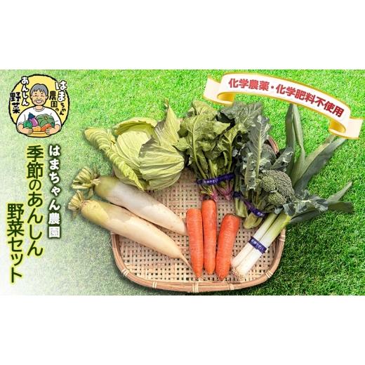 ふるさと納税 セット・詰合せ 三重県 津市 はまちゃん農園・季節のあんしん野菜 6品目セット | 三重県 津市産 こだわり野菜_1