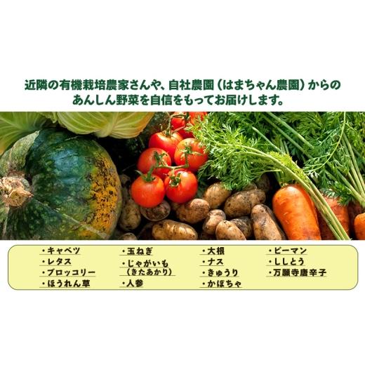 ふるさと納税 セット・詰合せ 三重県 津市 はまちゃん農園・季節のあんしん野菜 6品目セット | 三重県 津市産 こだわり野菜_3