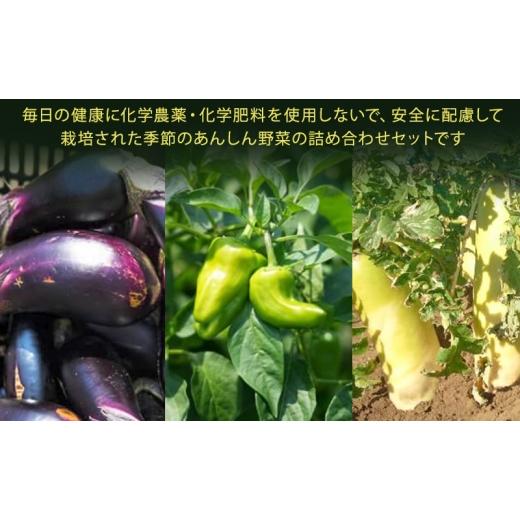 ふるさと納税 セット・詰合せ 三重県 津市 はまちゃん農園・季節のあんしん野菜 6品目セット | 三重県 津市産 こだわり野菜_4