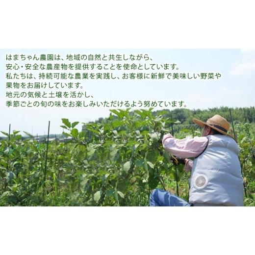 ふるさと納税 セット・詰合せ 三重県 津市 はまちゃん農園・季節のあんしん野菜 6品目セット | 三重県 津市産 こだわり野菜_5