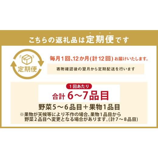 ふるさと納税 セット・詰合せ 長崎県 長崎市  12回定期便 定番の野菜フルーツセット 6品目以上 ／ 詰め合わせ 鮮度 野菜 やさい 果物 くだもの 果実 フルーツ …_2