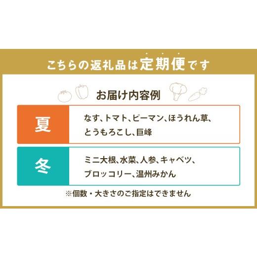 ふるさと納税 セット・詰合せ 長崎県 長崎市  12回定期便 定番の野菜フルーツセット 6品目以上 ／ 詰め合わせ 鮮度 野菜 やさい 果物 くだもの 果実 フルーツ …_3
