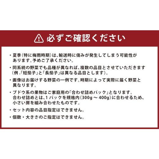 ふるさと納税 セット・詰合せ 長崎県 長崎市  12回定期便 定番の野菜フルーツセット 6品目以上 ／ 詰め合わせ 鮮度 野菜 やさい 果物 くだもの 果実 フルーツ …_4