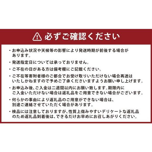 ふるさと納税 セット・詰合せ 長崎県 長崎市  12回定期便 定番の野菜フルーツセット 6品目以上 ／ 詰め合わせ 鮮度 野菜 やさい 果物 くだもの 果実 フルーツ …_5